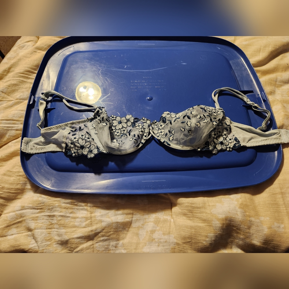 Victoria Secrets Bra